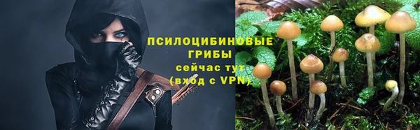 трава Михайловск