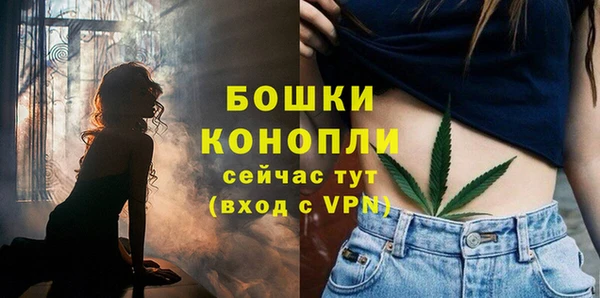 гидра Богородск