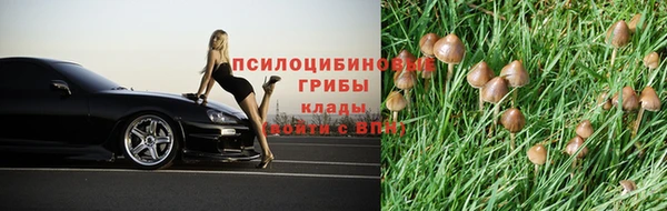 трава Михайловск
